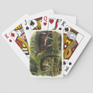 Common (White-tailed) Deer - Audubon's Quadrupeds Playing Cards