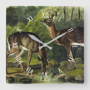 Common (White-tailed) Deer - Audubon's Quadrupeds Square Wall Clock