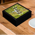 Common Whitetail Dragonfly Photo Gift Box<br><div class="desc">For nature lovers! Store trinkets,  jewellery and other small keepsakes in this wooden gift box with ceramic tile featuring the photo image of a Common Whitetail dragonfly,  also known as a Long-tailed Skimmer. Select your gift box size and colour. Makes an great gift for those who collect dragonflies!</div>