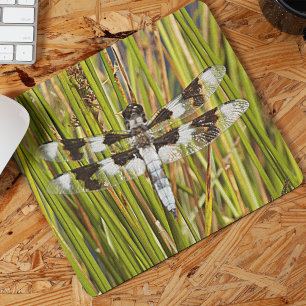 Common Whitetail Dragonfly Photo Mouse Pad