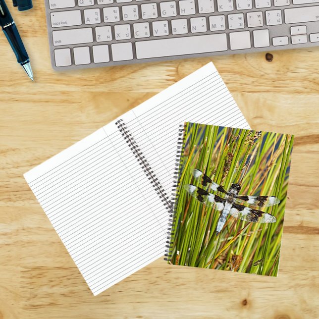 Common Whitetail Dragonfly Photo Notebook (In Situ)