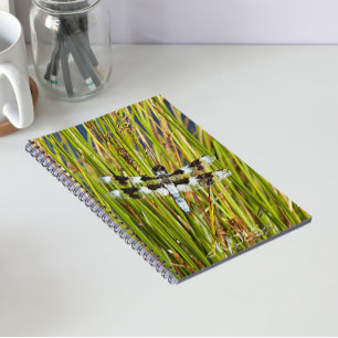 Common Whitetail Dragonfly Photo Notebook
