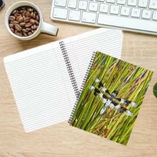 Common Whitetail Dragonfly Photo Notebook