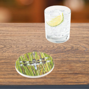 Common Whitetail Skimmer Dragonfly Photo Coaster