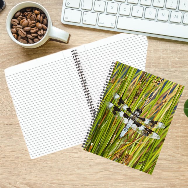 Common Whitetail Skimmer Dragonfly Photo Notebook (In Situ)
