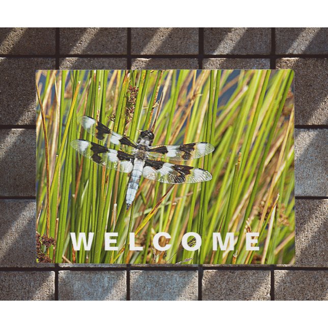 Common Whitetail Skimmer Dragonfly Welcome Doormat (In Situ)