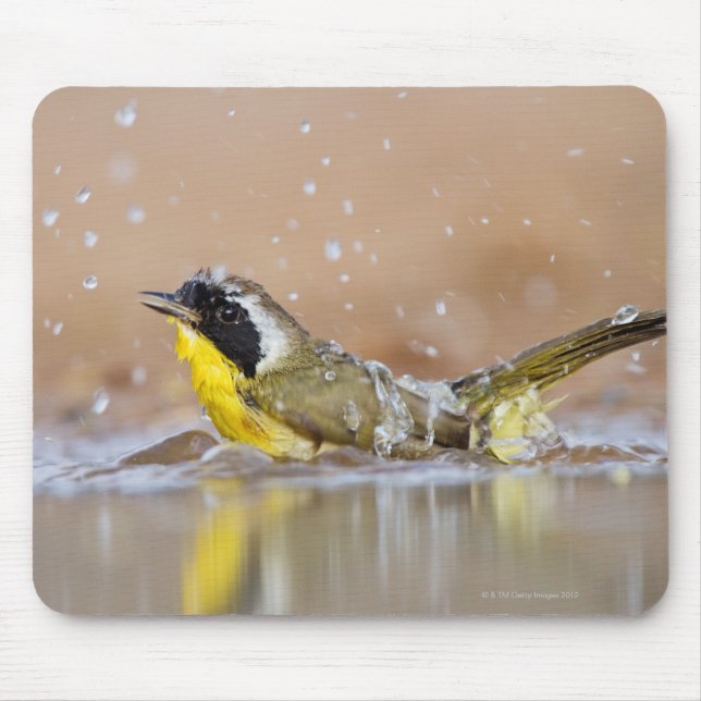 Common yellowthroat bathing mouse pad (Front)