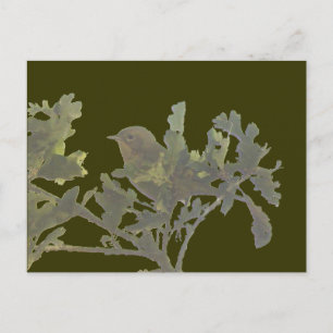 Common Yellowthroat Postcard