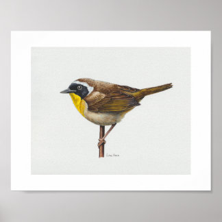 Common Yellowthroat Warbler Art Print