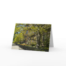 Commonwealth Ave Bldg, Boston MA