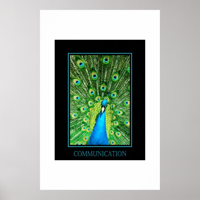 Communication Poster (Front)