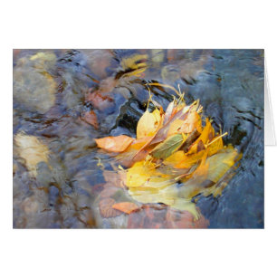 Community by Cynthia Wenslow