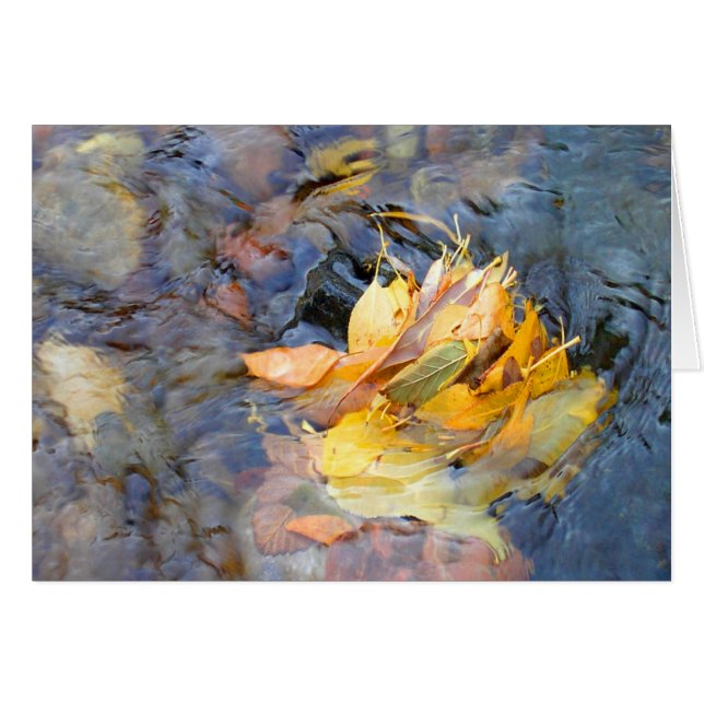 Community by Cynthia Wenslow (Front Horizontal)