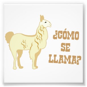 Como Se Llama? What is your name? Photo Print