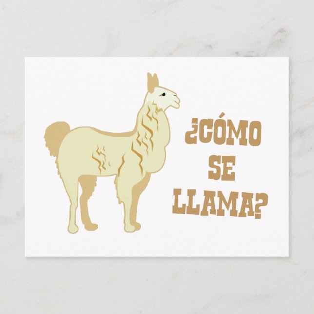 Como Se Llama?  What is your name? Postcard (Front)