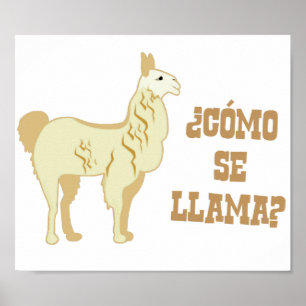 Como Se Llama?  What is your name? Poster