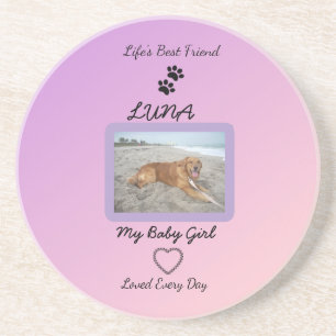 Companion Love Pawprint Pet Coaster
