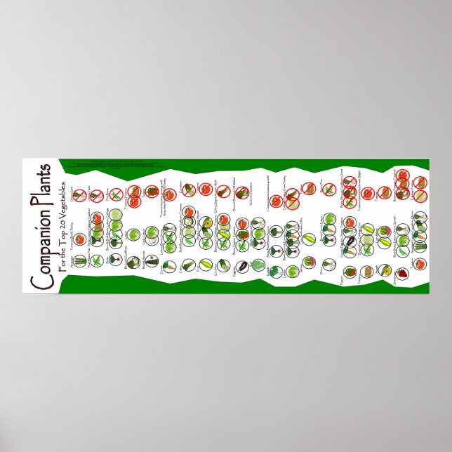 Companion Plants Poster: The Top 20 Garden Plants Poster (Front)