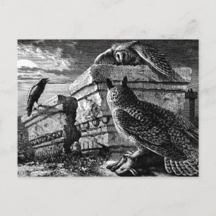 Companion to owls postcard