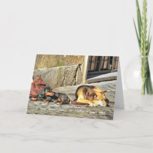 COMPANIONS Greeting Card