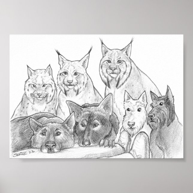 Companions Poster (Front)