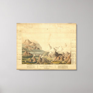 Comparative View Canvas Print