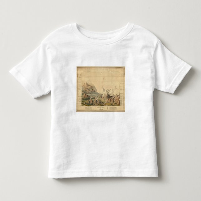 Comparative View Toddler T-Shirt (Front)