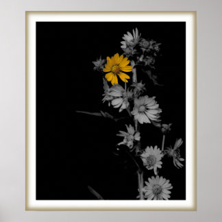 Compass Flower Print