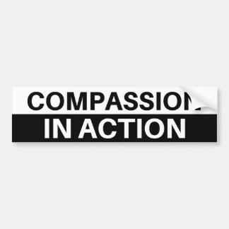 Compassion In Action - Bumper Sticker