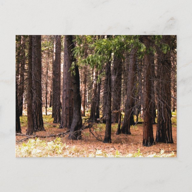 Compassion matters postcard (Front)