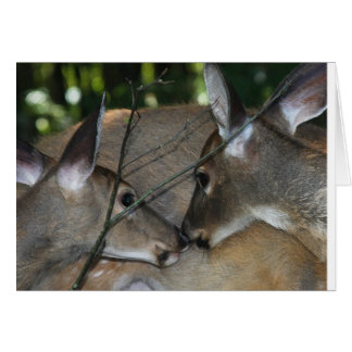Compassion & Respect of Nature