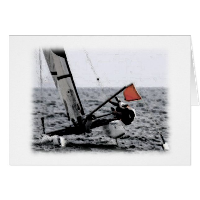 Competition Sailing Catamaran Picture (Front Horizontal)