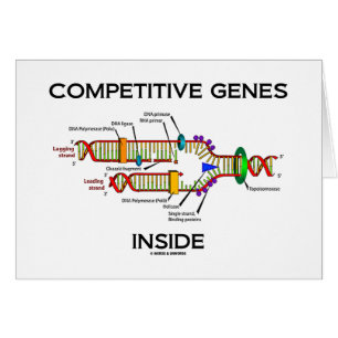 Competitive Genes Inside (DNA Replication)
