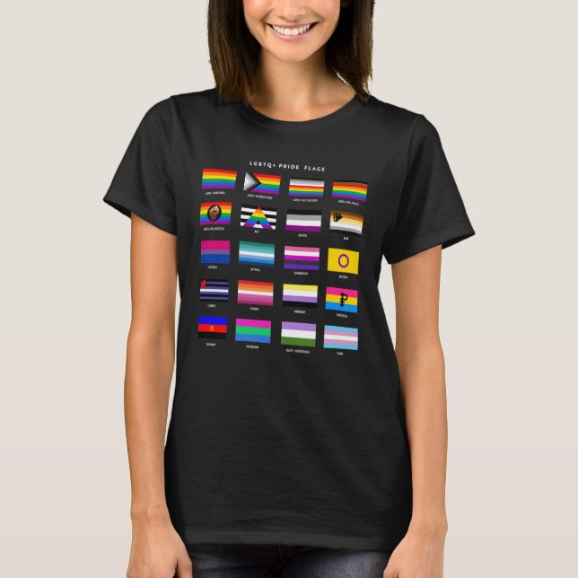 Complete LGBTQ+ Pride Flag Guide T-Shirt (Front)
