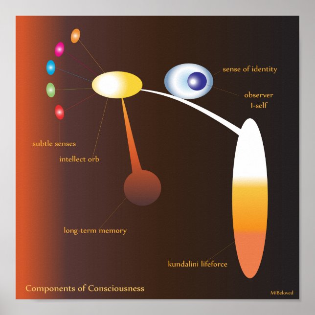 Components of Consciousness Poster (Front)