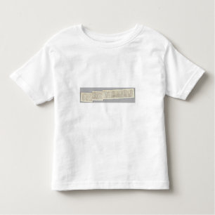 Composite Topographical maps IV Toddler T-Shirt