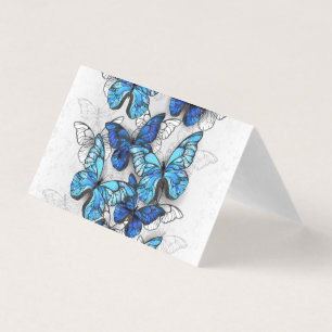 Composition of White and Blue Butterflies
