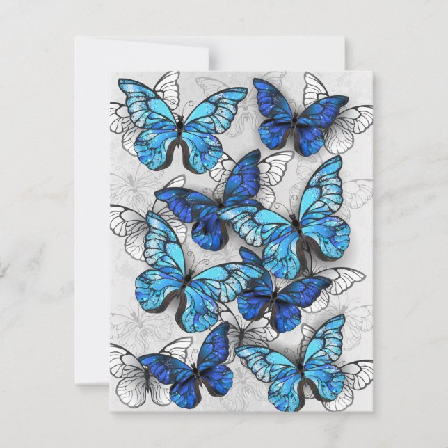 Composition of White and Blue Butterflies (Front)