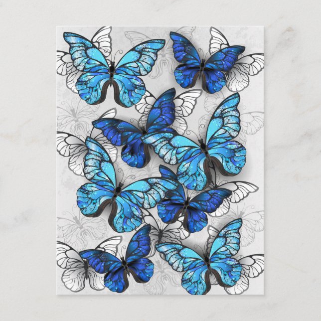 Composition of White and Blue Butterflies Advice Card (Front)