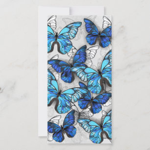 Composition of White and Blue Butterflies Announcement