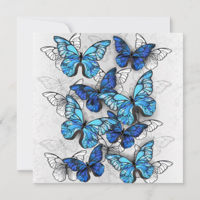 Composition of White and Blue Butterflies Announcement (Front)