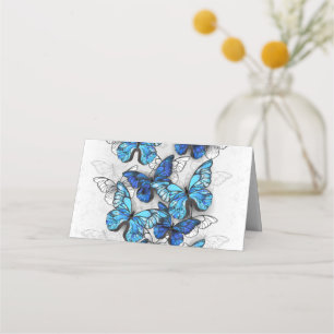 Composition of White and Blue Butterflies Appointment Card
