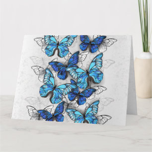 Composition of White and Blue Butterflies Card