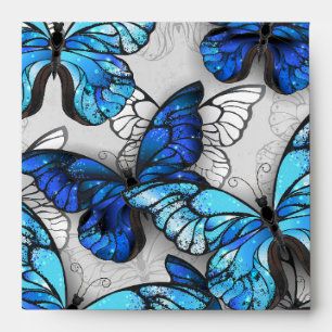 Composition of White and Blue Butterflies Envelope