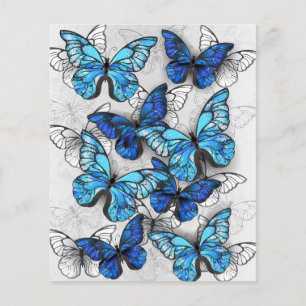 Composition of White and Blue Butterflies Flyer