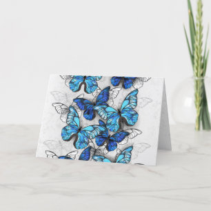 Composition of White and Blue Butterflies Holiday Card