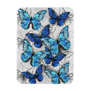 Composition of White and Blue Butterflies Magnet