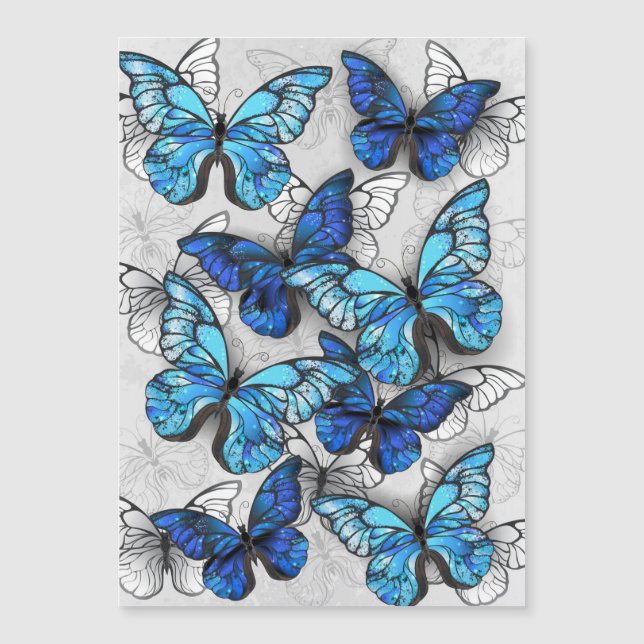 Composition of White and Blue Butterflies Magnetic Invitation (Front)