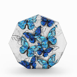 Composition of White and Blue Butterflies Photo Block