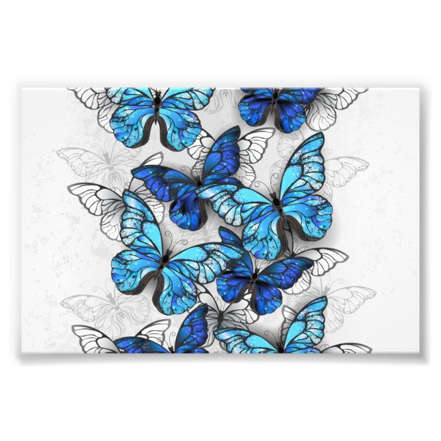 Composition of White and Blue Butterflies Photo Print (Front)
